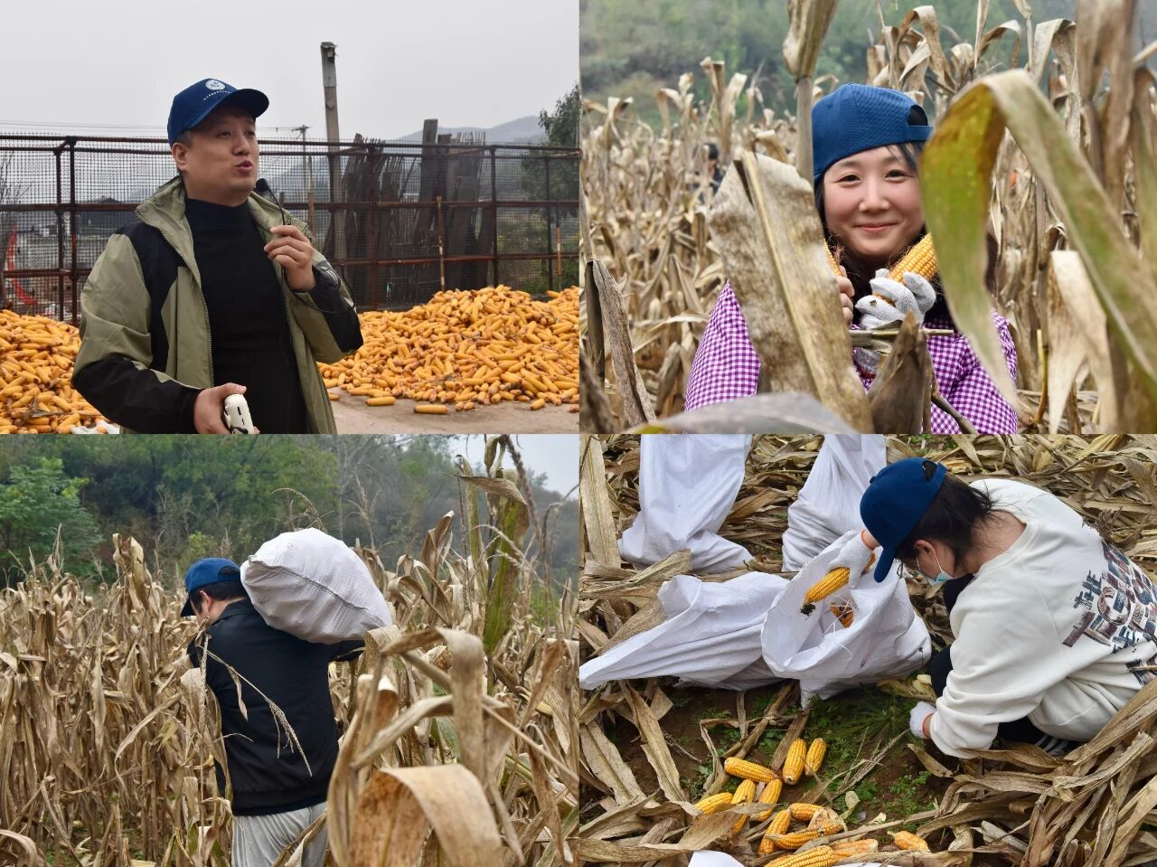 微信图片_2025-10-24_101321_055.jpg 微信图片_2025-10-24_101321_055.jpg